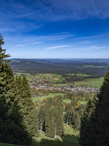 Превью обои пейзаж, деревья, луга, дома
