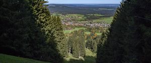 Превью обои пейзаж, деревья, луга, дома