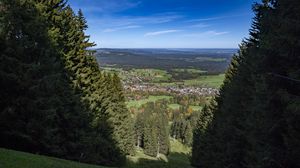 Превью обои пейзаж, деревья, луга, дома