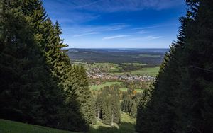 Превью обои пейзаж, деревья, луга, дома