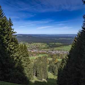 Превью обои пейзаж, деревья, луга, дома