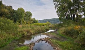 Превью обои пейзаж, деревья, ручей, природа