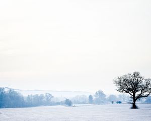 Превью обои пейзаж, дерево, одинокое, снег, зима, пустота, холод