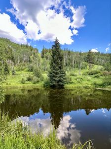 Превью обои пейзаж, дерево, пруд, лес, трава