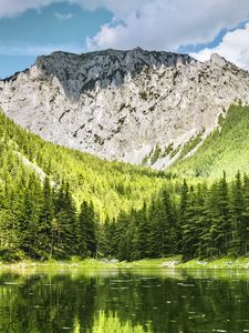 Превью обои пейзаж, гора, лес, деревья, озеро, природа