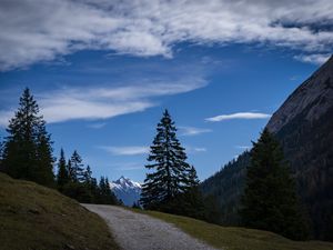 Превью обои пейзаж, горы, деревья, тропа