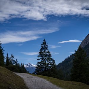 Превью обои пейзаж, горы, деревья, тропа