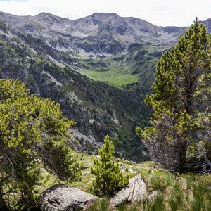 Превью обои пейзаж, горы, дерево, рельеф, природа