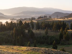 Превью обои пейзаж, холмы, деревья, туман, природа