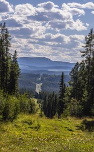 Превью обои пейзаж, холмы, лес, вид, обзор