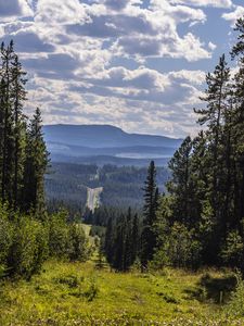 Превью обои пейзаж, холмы, лес, вид, обзор