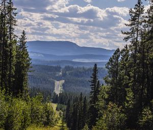 Превью обои пейзаж, холмы, лес, вид, обзор