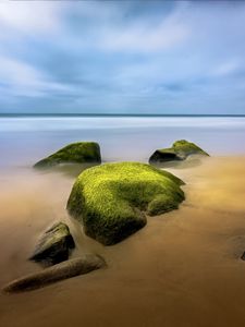 Превью обои пейзаж, камни, мох, берег, море, природа