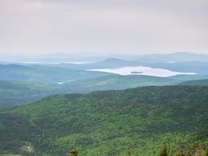 Превью обои пейзаж, лес, деревья, озеро, камень, природа