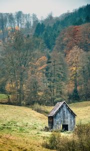 Превью обои пейзаж, лес, дерево, осень, сарай, природа