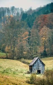 Превью обои пейзаж, лес, дерево, осень, сарай, природа