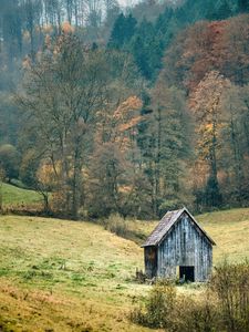 Превью обои пейзаж, лес, дерево, осень, сарай, природа