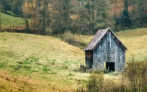 Превью обои пейзаж, лес, дерево, осень, сарай, природа