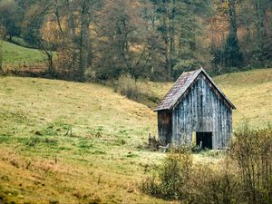 Превью обои пейзаж, лес, дерево, осень, сарай, природа