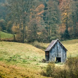 Превью обои пейзаж, лес, дерево, осень, сарай, природа