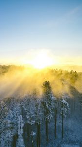 Превью обои пейзаж, лес, гора, солнце, зима, свет