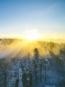 Превью обои пейзаж, лес, гора, солнце, зима, свет
