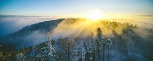 Превью обои пейзаж, лес, гора, солнце, зима, свет