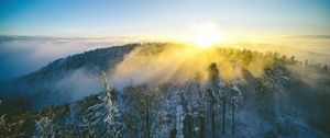 Превью обои пейзаж, лес, гора, солнце, зима, свет