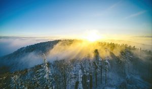 Превью обои пейзаж, лес, гора, солнце, зима, свет