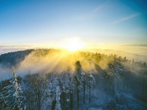 Превью обои пейзаж, лес, гора, солнце, зима, свет