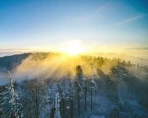 Превью обои пейзаж, лес, гора, солнце, зима, свет