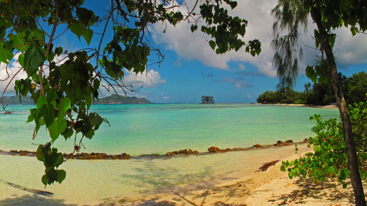 Обои пейзаж, море, seychelles la digue, пляж, листья, природа