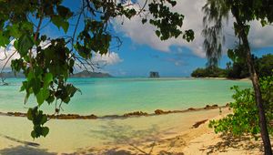 Превью обои пейзаж, море, seychelles la digue, пляж, листья, природа