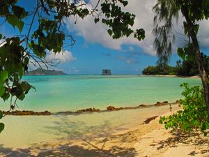 Превью обои пейзаж, море, seychelles la digue, пляж, листья, природа