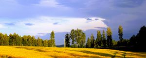 Превью обои пейзаж, поле, лето, деревья, небо, облака