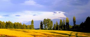 Превью обои пейзаж, поле, лето, деревья, небо, облака