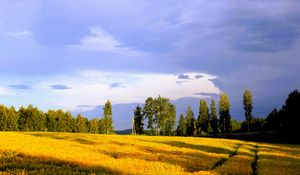 Превью обои пейзаж, поле, лето, деревья, небо, облака