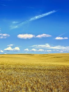 Превью обои пейзаж, поле, небо, облака, трава, осень