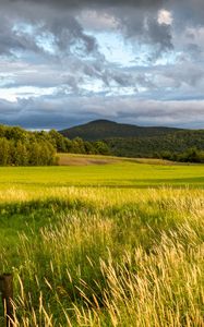 Превью обои пейзаж, поле, трава, холмы, деревья