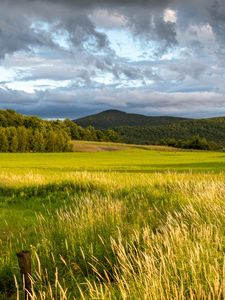 Превью обои пейзаж, поле, трава, холмы, деревья