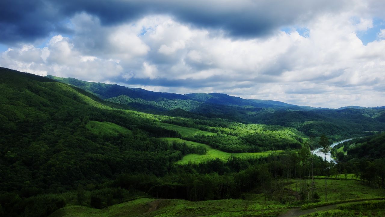 Обои пейзаж, природа, река, лес