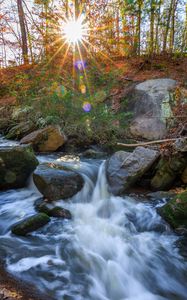Превью обои пейзаж, река, лес, камни, вода, солнце, природа