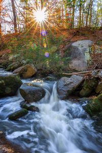 Превью обои пейзаж, река, лес, камни, вода, солнце, природа