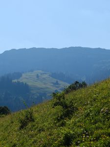 Превью обои пейзаж, склон, горы, трава, деревья, природа