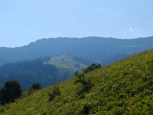 Превью обои пейзаж, склон, горы, трава, деревья, природа