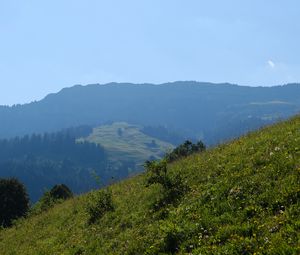 Превью обои пейзаж, склон, горы, трава, деревья, природа