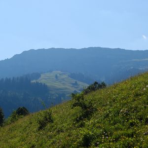 Превью обои пейзаж, склон, горы, трава, деревья, природа