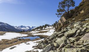 Превью обои пейзаж, склон, камни, снег, дерево