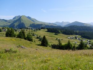 Превью обои пейзаж, трава, деревья, горы, долина