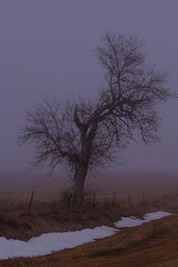 Превью обои пейзаж, туман, дерево, дорога, зима, снег, природа